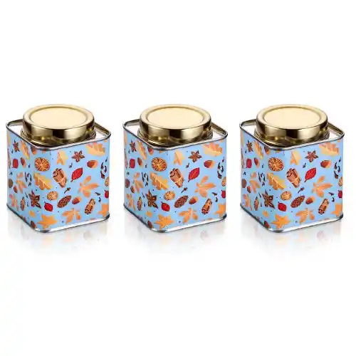 Blue Container Set Of 3 Pcs