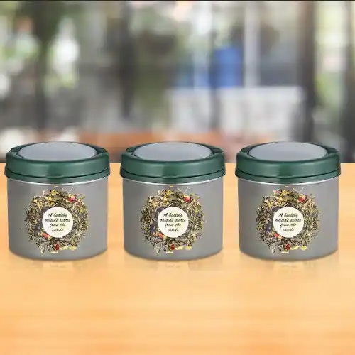 Green Container Set Of 3 Pcs